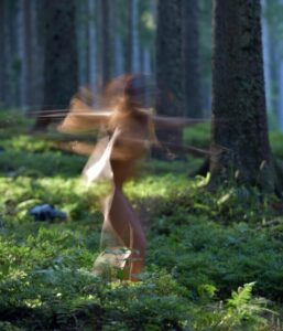 Brina Torkar transformacija